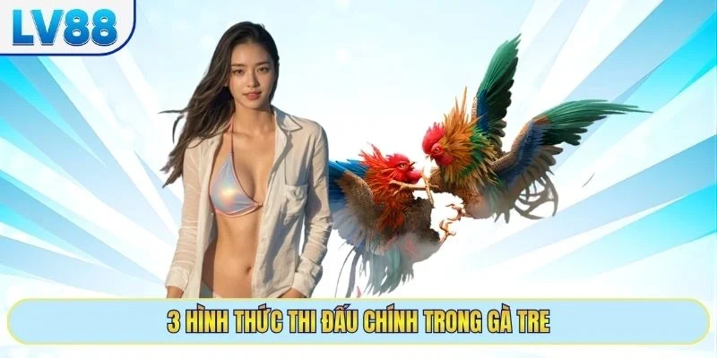 Những tính năng ưu việt tại sảnh cược kê 