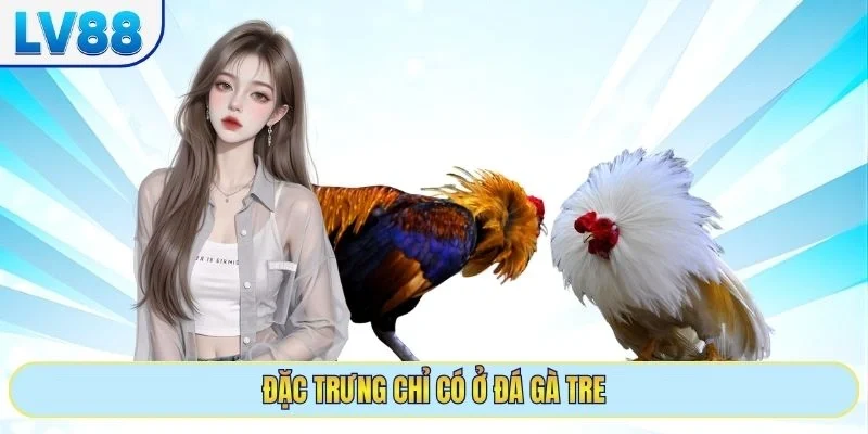 Đặc trưng chỉ có ở đá gà tre