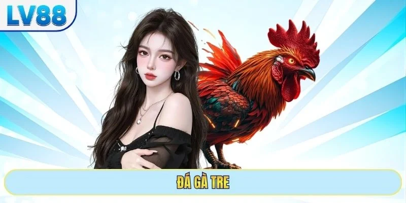 đá gà tre