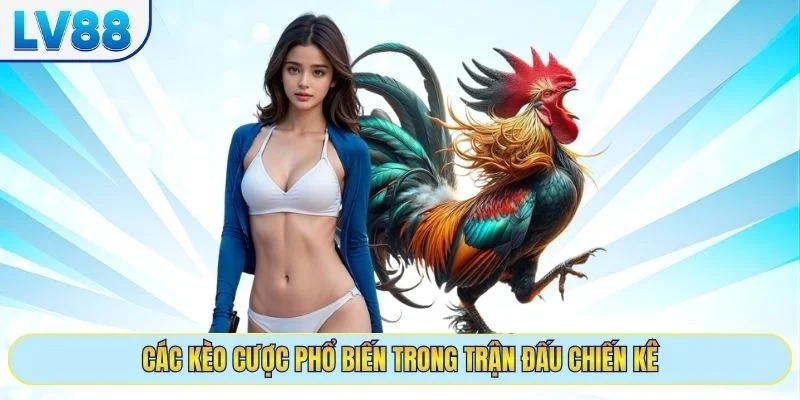 Các kèo cược phổ biến trong trận đấu chiến kê