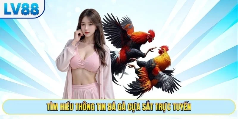 Tìm hiểu thông tin đá gà cựa sắt trực tuyến